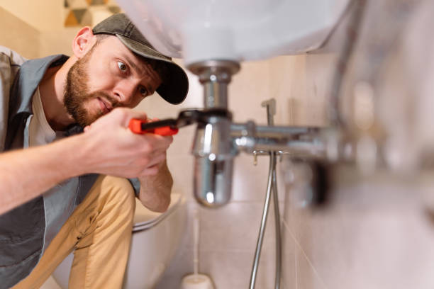 Best Commercial Plumbing Services  in Shoshone, ID