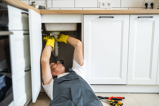 Best Best Plumbers Near Me  in Shoshone, ID