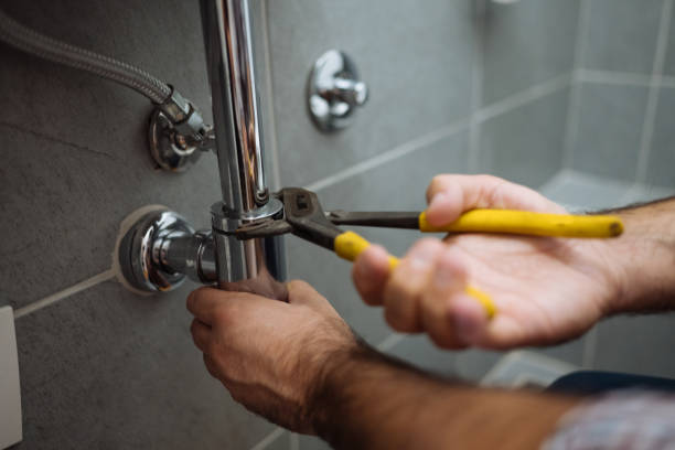 Best Local Plumber Services  in Shoshone, ID