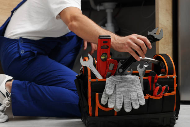 Best Toilet Repair Services  in Shoshone, ID